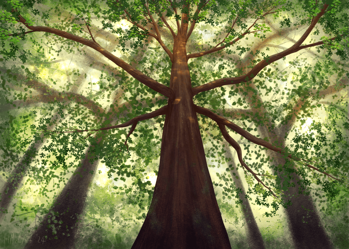 A digital painting of a forest, looking up into the canopy, light glinting through tiny leaves. A central, focal tree stretches up away from the viewer, with warm, dappled light appearing near the top.