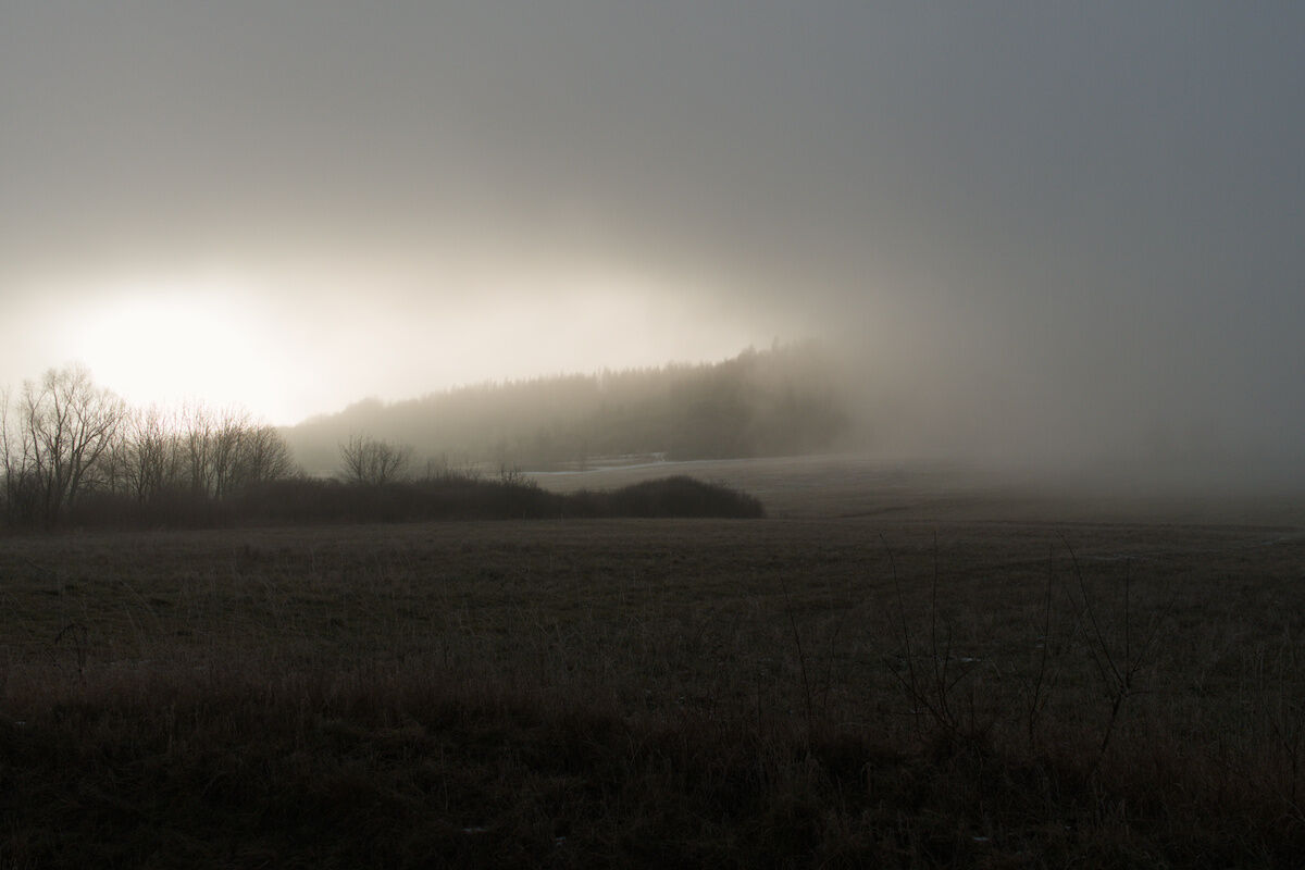 winter hills landscape, with frozen grass, leafless trees and heavy fog. The fog is thickest on the right side, completely obscuring view; on the left, it thins just enough to form backlighted (by low sun) backgroud for dark trees silhouettes. Overall – quite gloomy mood.