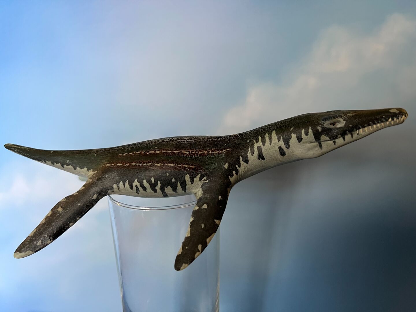 A Natural History Museum Liopleuridon, painted in the Walking With Dinosaurs colour scheme, with an undercoat of crackle varnish to add a scaly texture to the smooth plastic. It’s resting on a glass in front of a Jon Hodgson sky background which is serving as water.