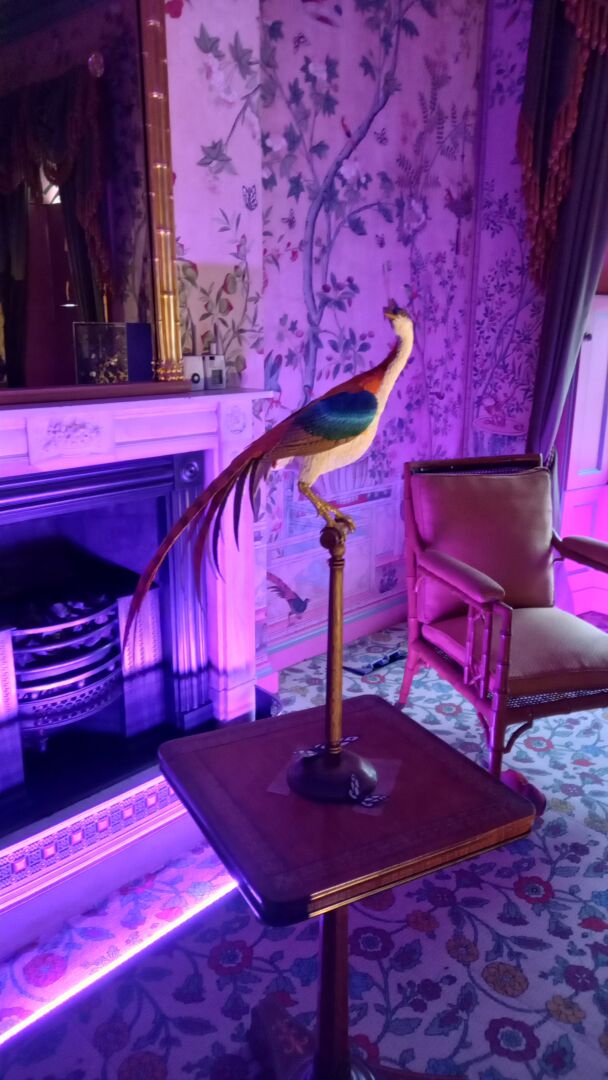 Literally a stuffed bird perched on a stand in a room lit with fuschia light.